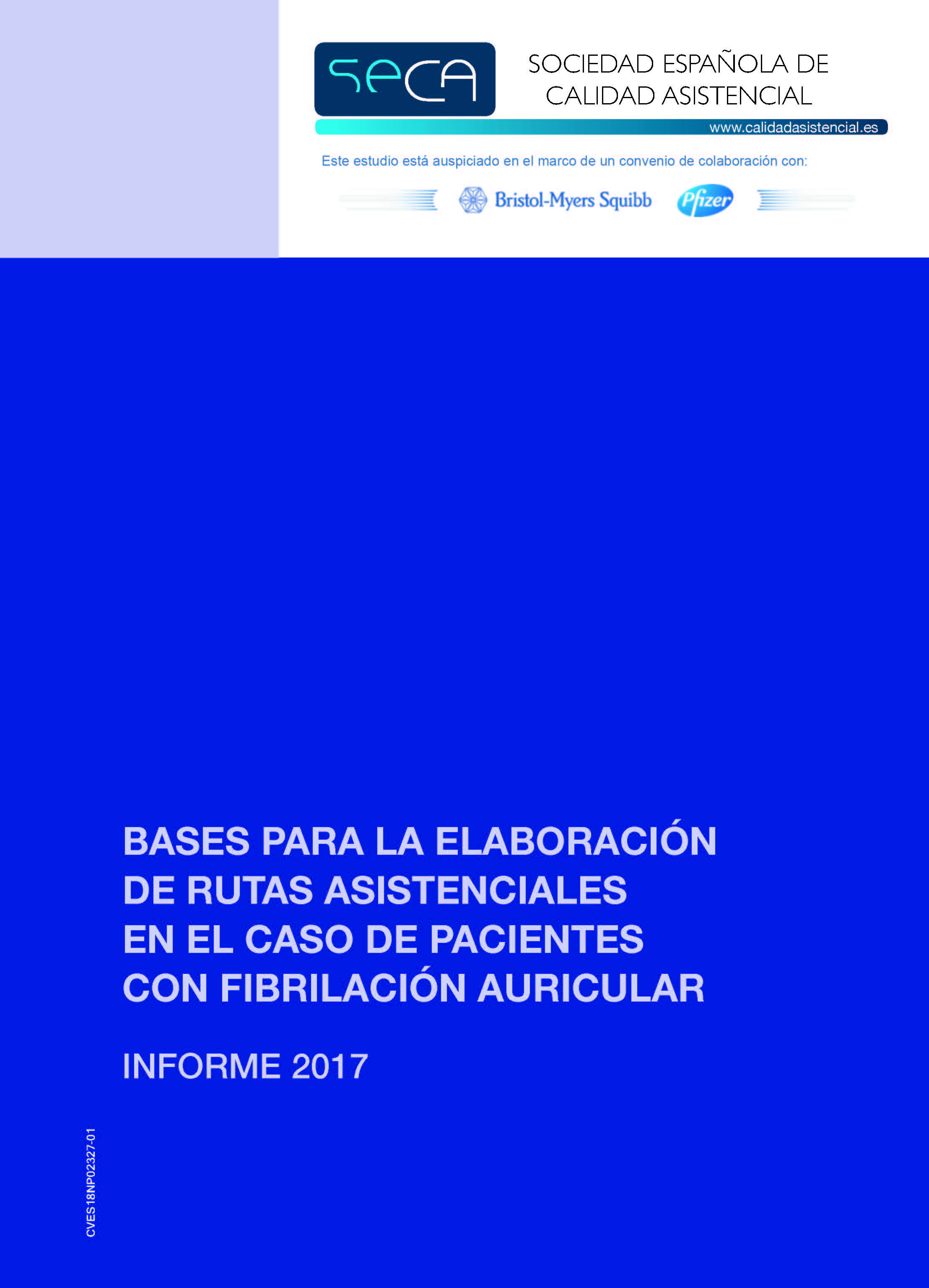 Libro Bases para la elaboración de rutas asistenciales en el caso de pacientes con fibrilación auricular